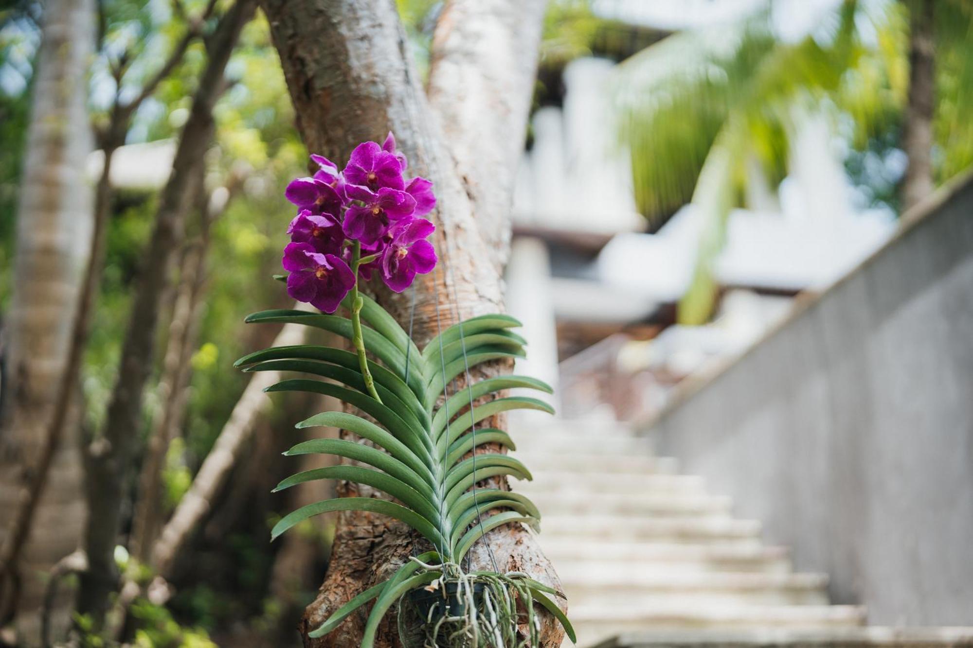 The Kala Hotel Amphoe Koksamui Exterior photo